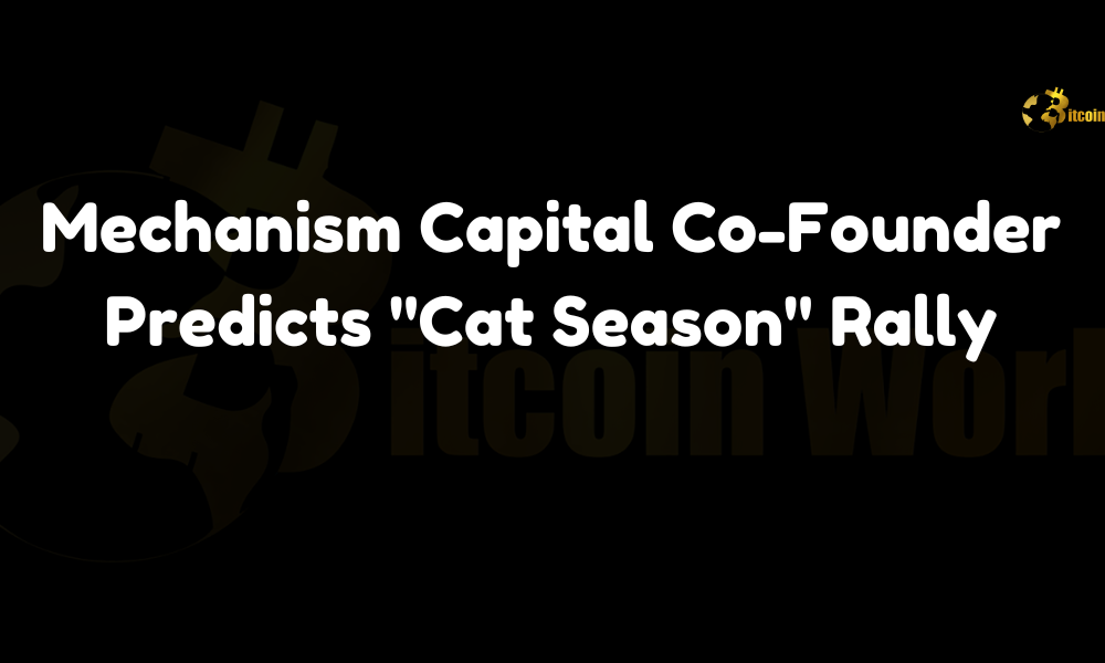 Andrew Kang Predicts “Cat Season” Rally