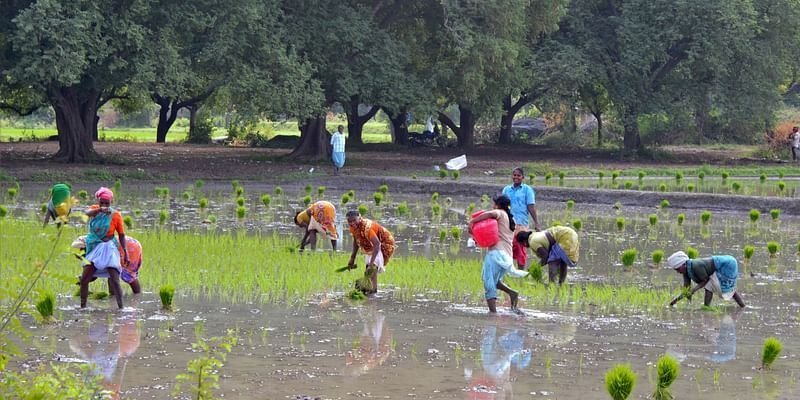 Samunnati bags Rs 1,123 Cr in H1 FY25, onboards 14 new lenders for agri-finance growth