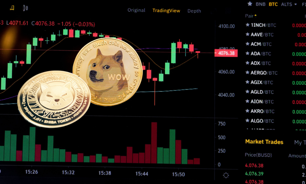 Top SHIB Trader Buys Dogecoin, RCOF, and FUD to Show It’s Possible to Grow a $1M Portfolio in 4 Months