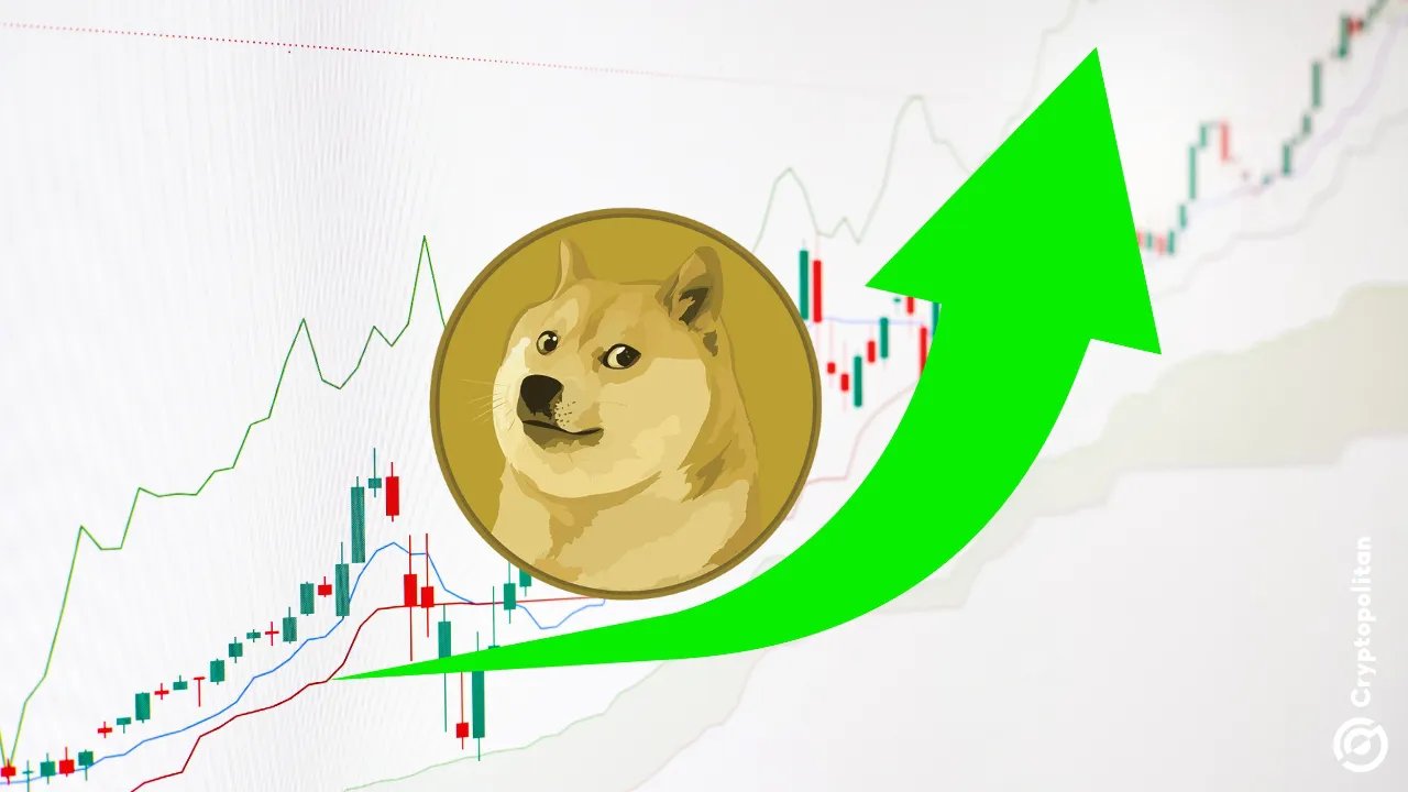 Dogecoin registers massive surge, flips XRP’s market cap