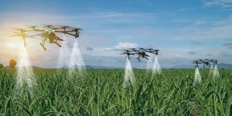 Agritech in 2025: Building on the momentum of 2024