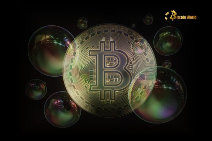 BTC Yet to Enter Bubble Phase, Says CryptoQuant CEO: Key Insights into the Bull Run