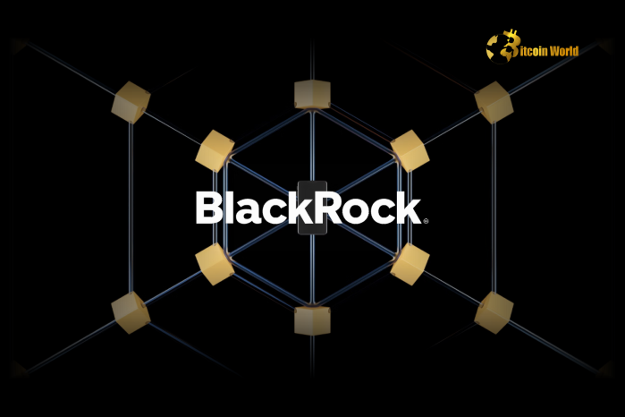 BlackRock Fund Buys First Blockchain-Issued Municipal Bonds