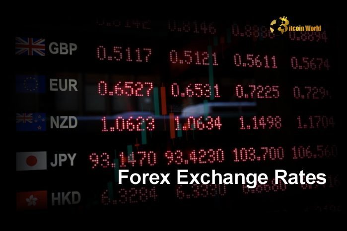 Forex Exchange Rates Today: Everything You Need to Know