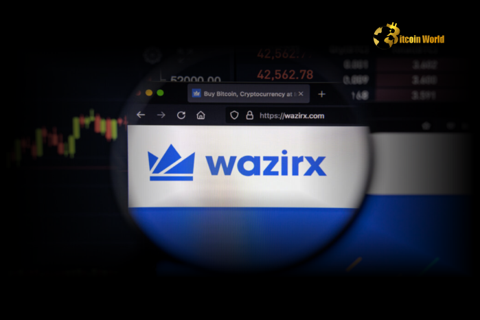 Indian Court Orders Re-Investigation into WazirX Hack