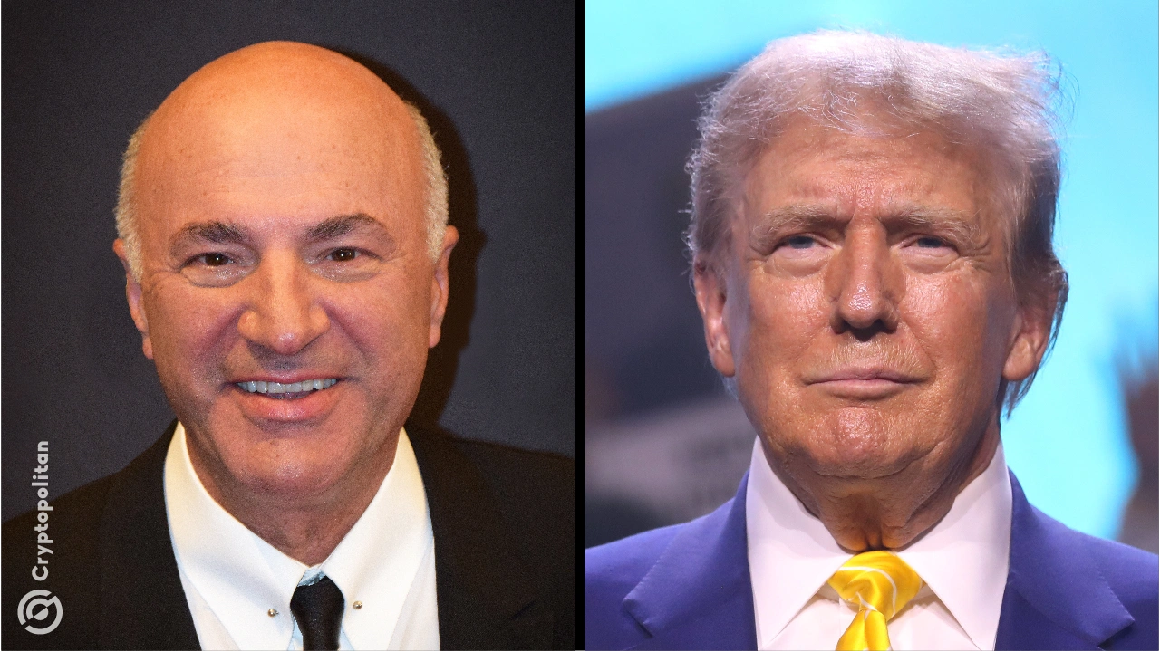 Kevin O’Leary sheds light on why CEOs ‘want to suck up to Trump’