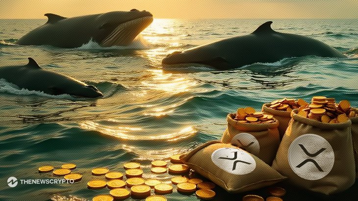 Ripple’s XRP Gains Momentum With Growing Whale Activity