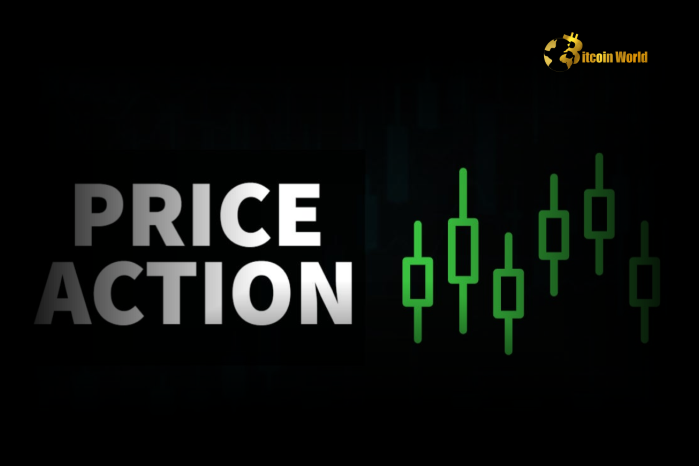 What Is Price Action in Forex? A Comprehensive Guide