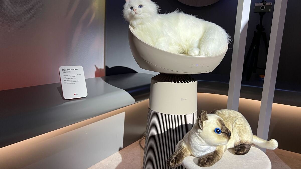 CES 2025: LG's air-purifying cat tower is purrfect for pet owners