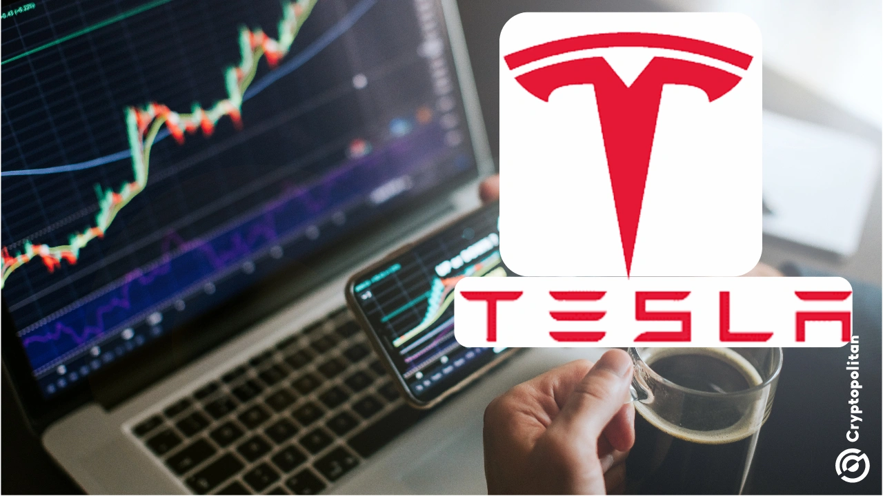 Wall Street analyst predicts Tesla stocks to crash in 2025