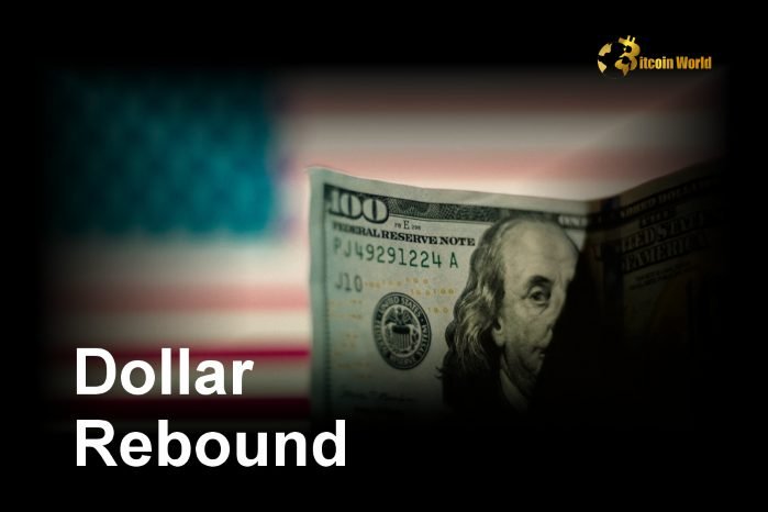 Decoding the USD Rebound: Is the Dollar’s Bearish Momentum Fading?