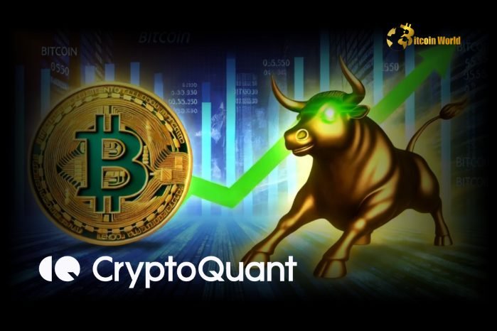 Fearless Bitcoin Bull Cycle Prediction: CryptoQuant CEO’s ETF Outflow Alert