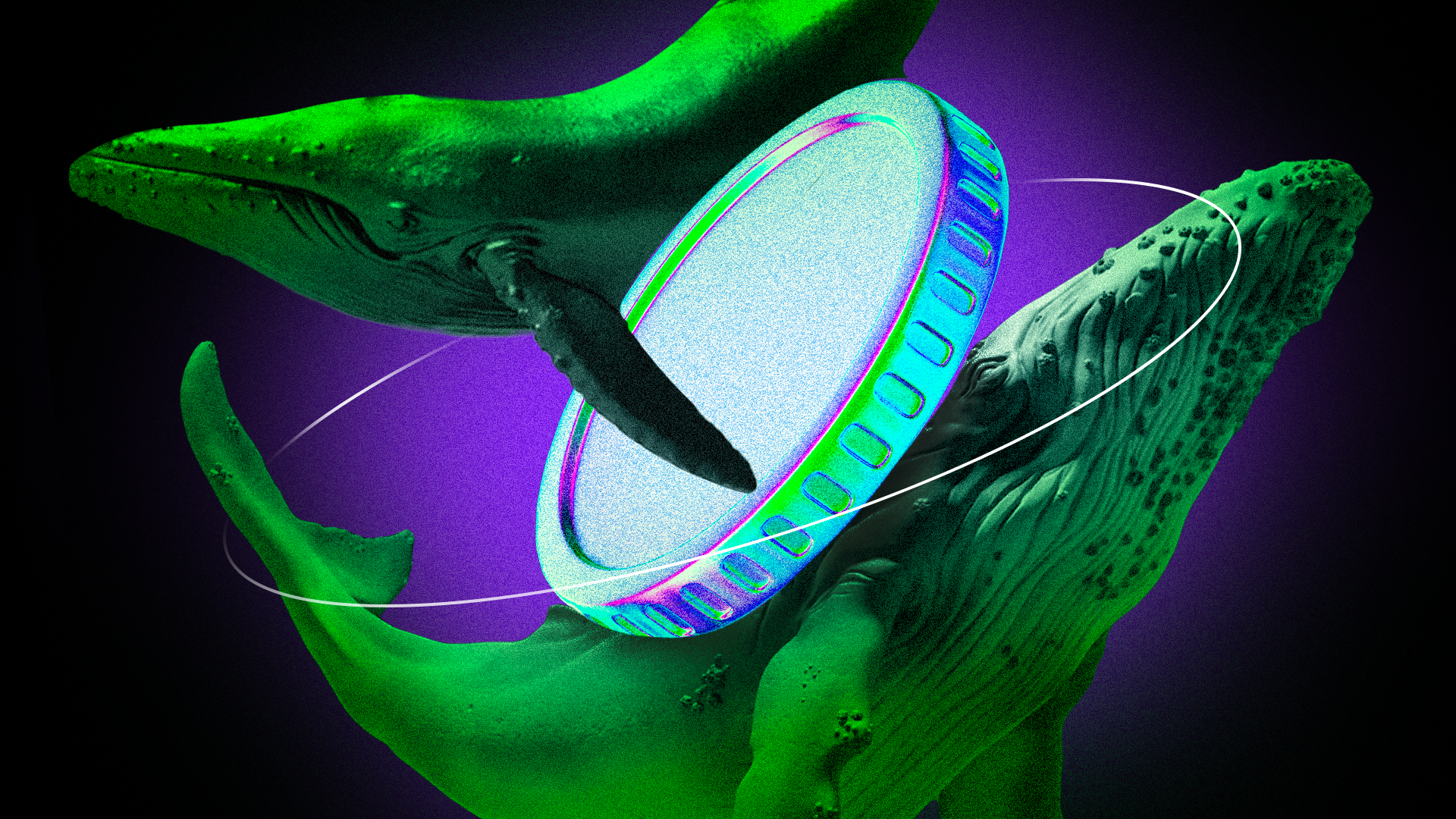 Top 3 Cryptocurrencies Whales Bought This Week