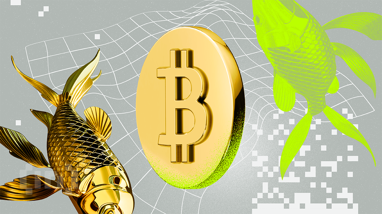 Bitcoin to Track Gold’s Rally With a 100-Day Delay Amid Liquidity Boom, Says Analyst