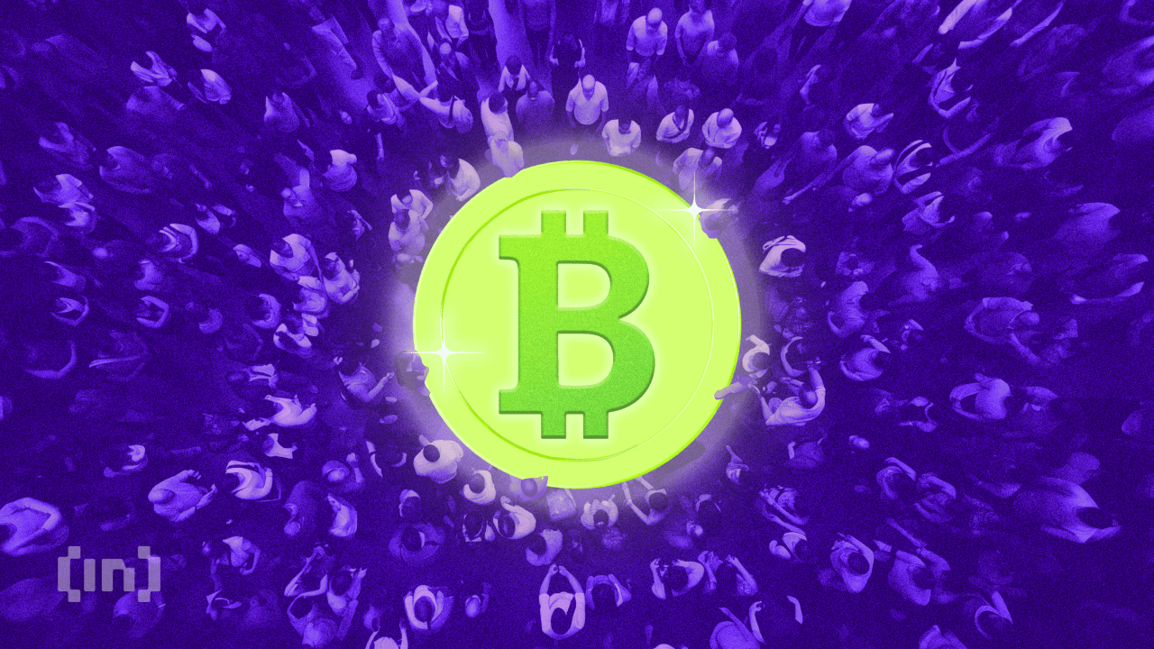 Bitwise CEO Explains Why Bitcoin Search Volume on Google Trends Has Dropped Sharply